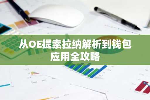 从OE提索拉纳解析到钱包应用全攻略