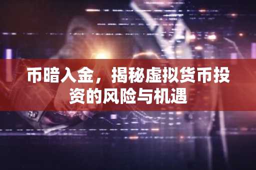 币暗入金，揭秘虚拟货币投资的风险与机遇