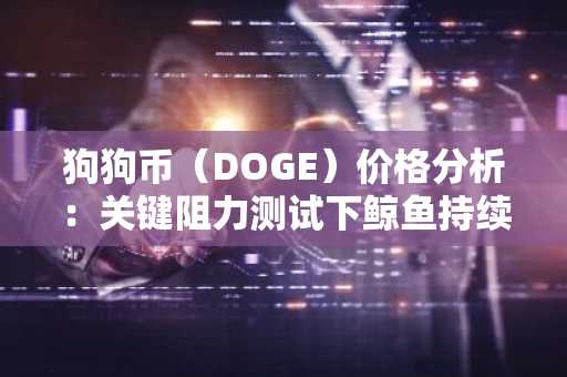 狗狗币（DOGE）价格分析：关键阻力测试下鲸鱼持续吸筹