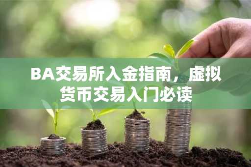 BA交易所入金指南，虚拟货币交易入门必读