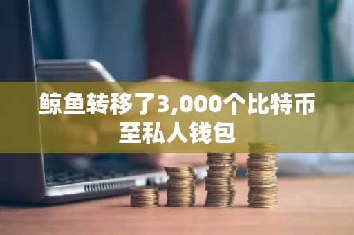 鲸鱼转移了3,000个比特币至私人钱包