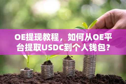 OE提现教程，如何从OE平台提取USDC到个人钱包？