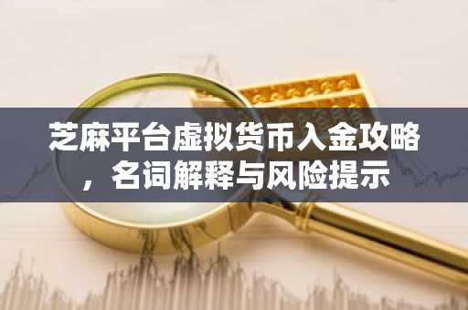 芝麻平台虚拟货币入金攻略,名词解释与风险提示