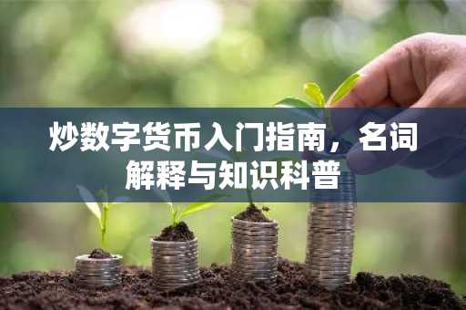 炒数字货币入门指南,名词解释与知识科普