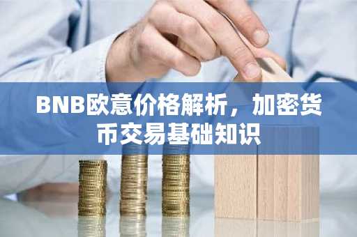 BNB欧意价格解析,加密货币交易基础知识