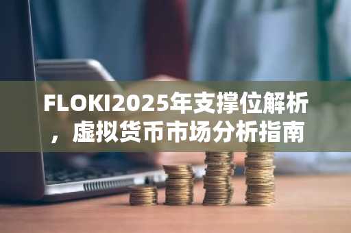 FLOKI2025年支撑位解析，虚拟货币市场分析指南