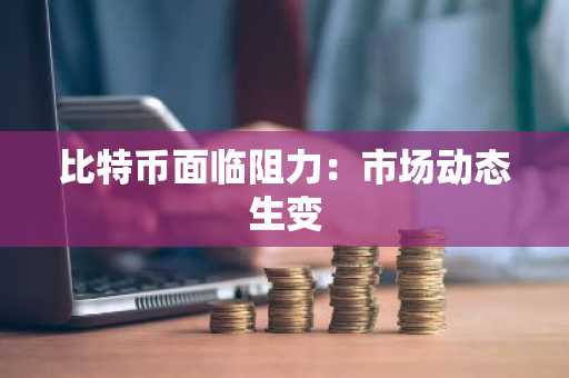 比特币面临阻力:市场动态生变