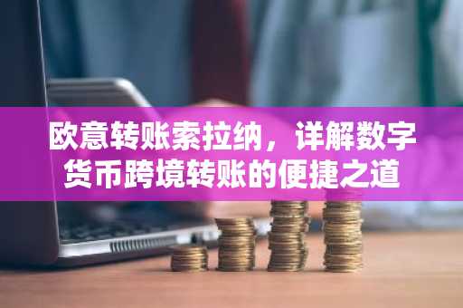 欧意转账索拉纳，详解数字货币跨境转账的便捷之道