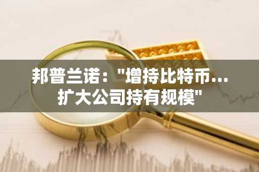 邦普兰诺:"增持比特币…扩大公司持有规模"