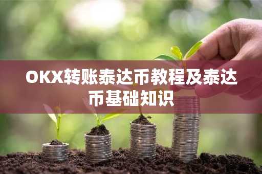 OKX转账泰达币教程及泰达币基础知识