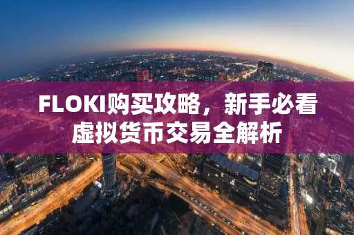 FLOKI购买攻略，新手必看虚拟货币交易全解析