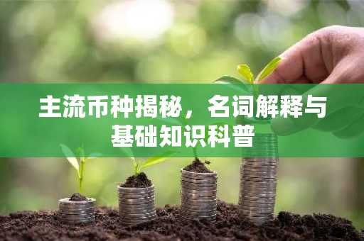 主流币种揭秘,名词解释与基础知识科普