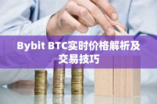 Bybit BTC实时价格解析及交易技巧