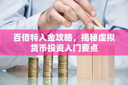 百倍特入金攻略,揭秘虚拟货币投资入门要点