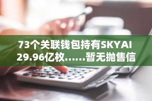73个关联钱包持有SKYAI 29.96亿枚……暂无抛售信号