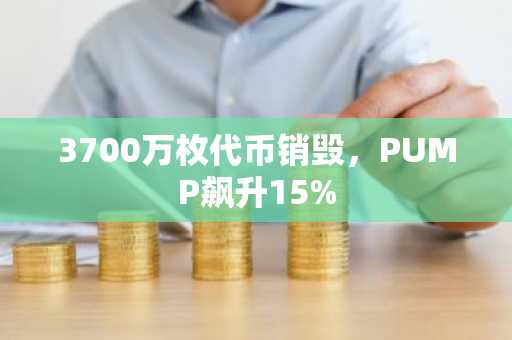 3700万枚代币销毁，PUMP飙升15%