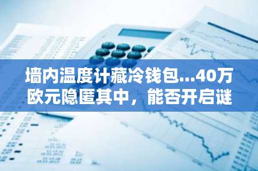 墙内温度计藏冷钱包...40万欧元隐匿其中,能否开启谜团?