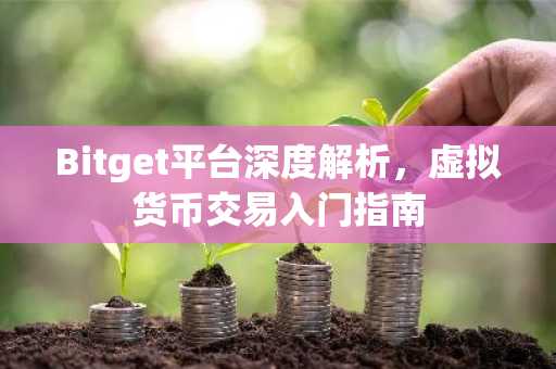 Bitget平台深度解析,虚拟货币交易入门指南