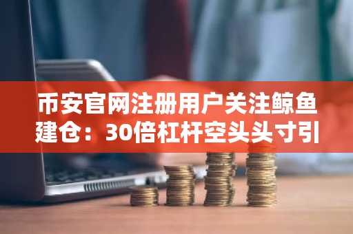币安官网注册用户关注鲸鱼建仓：30倍杠杆空头头寸引爆市场波动