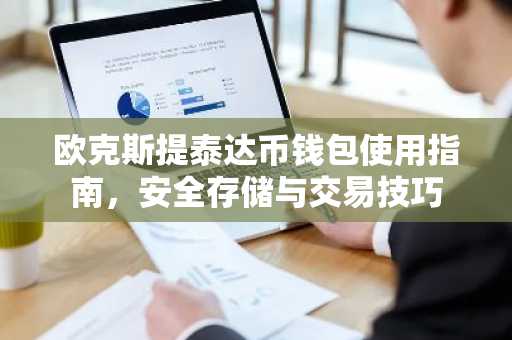 欧克斯提泰达币钱包使用指南,安全存储与交易技巧