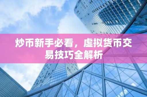 炒币新手必看,虚拟货币交易技巧全解析