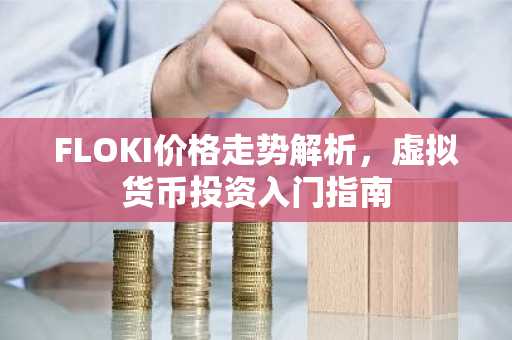 FLOKI价格走势解析，虚拟货币投资入门指南