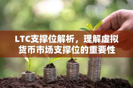 LTC支撑位解析，理解虚拟货币市场支撑位的重要性