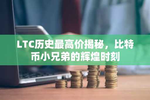 LTC历史最高价揭秘，比特币小兄弟的辉煌时刻