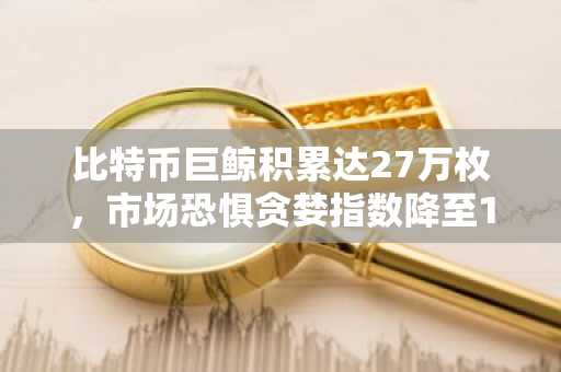 比特币巨鲸积累达27万枚，市场恐惧贪婪指数降至11点。