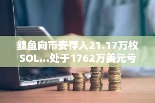 鲸鱼向币安存入21.17万枚SOL...处于1762万美元亏损区间