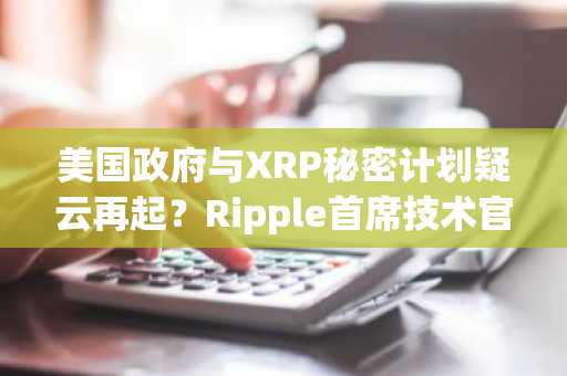 美国政府与XRP秘密计划疑云再起？Ripple首席技术官打破沉默
