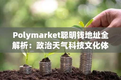 Polymarket聪明钱地址全解析：政治天气科技文化体育五大赛道精选推荐