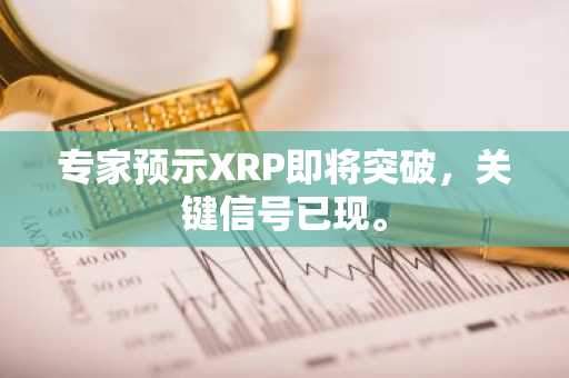 专家预示XRP即将突破，关键信号已现。