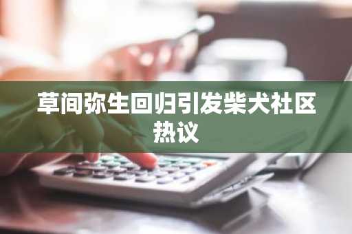 草间弥生回归引发柴犬社区热议
