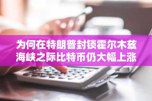 为何在特朗普封锁霍尔木兹海峡之际比特币仍大幅上涨