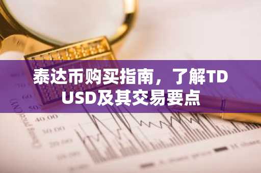 泰达币购买指南，了解TDUSD及其交易要点