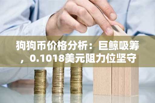 狗狗币价格分析：巨鲸吸筹，0.1018美元阻力位坚守