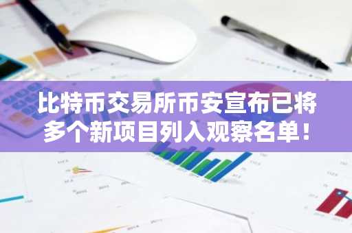 比特币交易所币安宣布已将多个新项目列入观察名单！详情如下