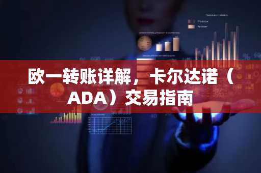 欧一转账详解，卡尔达诺（ADA）交易指南