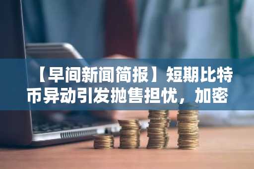 【早间新闻简报】短期比特币异动引发抛售担忧，加密货币市场波动性加剧 及其他