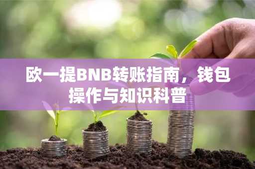 欧一提BNB转账指南,钱包操作与知识科普