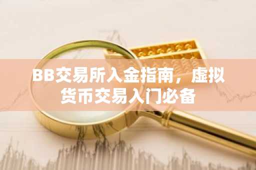 BB交易所入金指南,虚拟货币交易入门必备