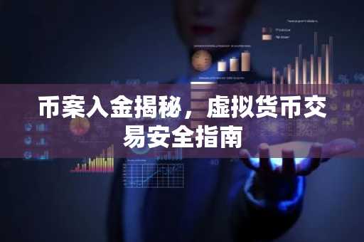 币案入金揭秘,虚拟货币交易安全指南