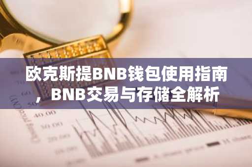 欧克斯提BNB钱包使用指南,BNB交易与存储全解析