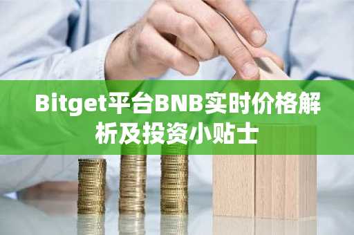 Bitget平台BNB实时价格解析及投资小贴士