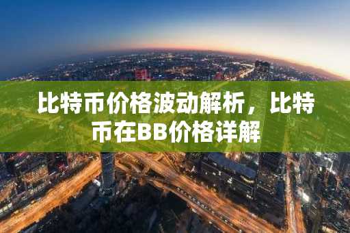 比特币价格波动解析，比特币在BB价格详解