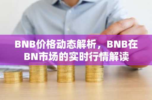 BNB价格动态解析,BNB在BN市场的实时行情解读